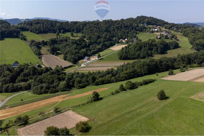 Grunty 5 400 m² – widok, las i działka z WZ