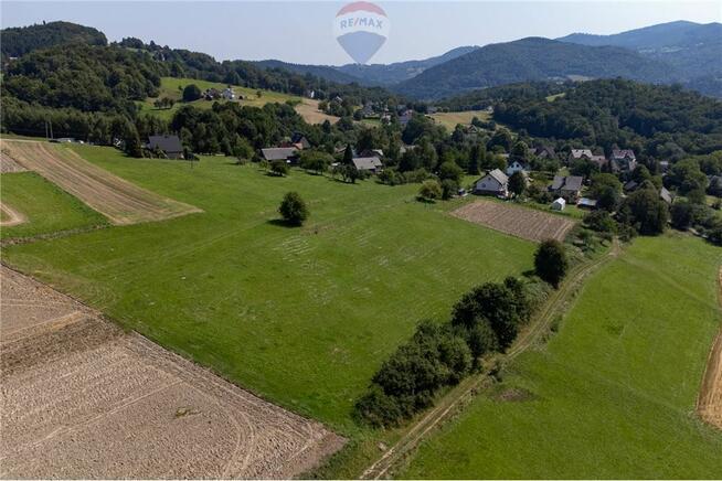 Grunty 5 400 m² – widok, las i działka z WZ