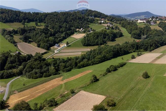 Prywatny las 3331 m2 - Twoja przestrzeń w naturze