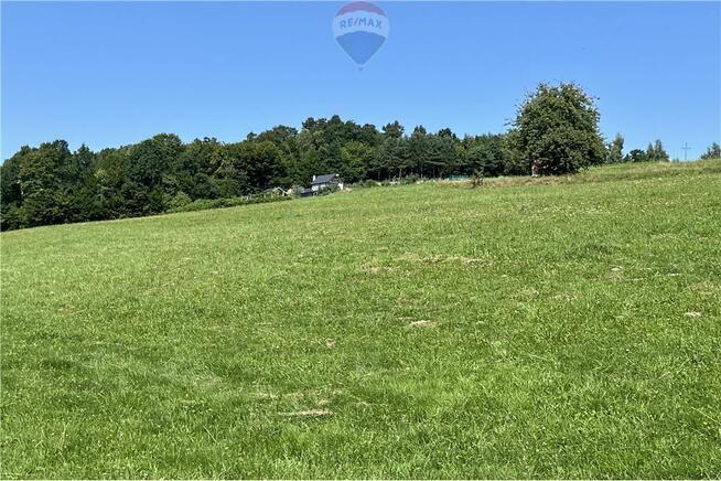 Prywatny las 3331 m2 - Twoja przestrzeń w naturze