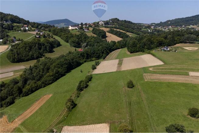 Prywatny las 3331 m2 - Twoja przestrzeń w naturze