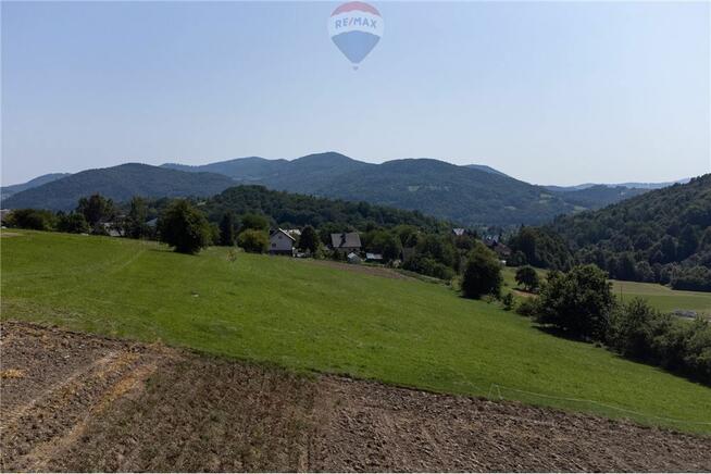 Prywatny las 3331 m2 - Twoja przestrzeń w naturze