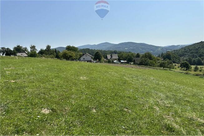 Prywatny las 3331 m2 - Twoja przestrzeń w naturze