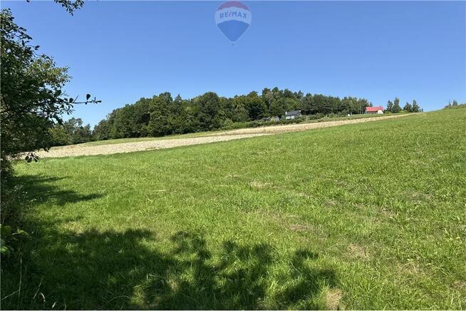 Prywatny las 3331 m2 - Twoja przestrzeń w naturze