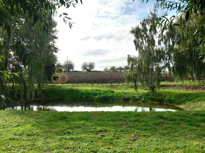 Działka inwestycyjna Nochowo gm. Śrem,