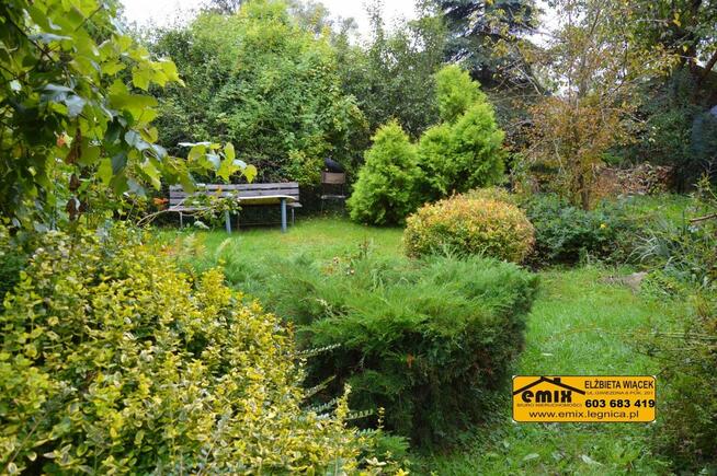 3 pokojowe mieszkanie, po remoncie, 7 km od Złotoryi