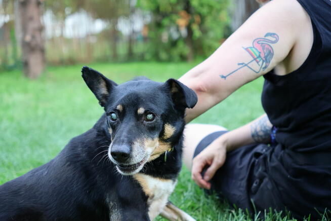 niewidomy Jureczek szuka domku