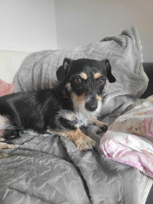 Marcelek po śmierci opiekuna błaga o nowy Dom