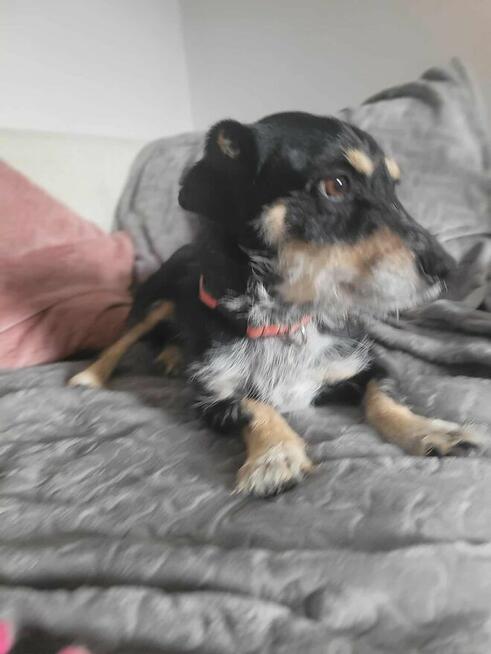 Marcelek po śmierci opiekuna błaga o nowy Dom