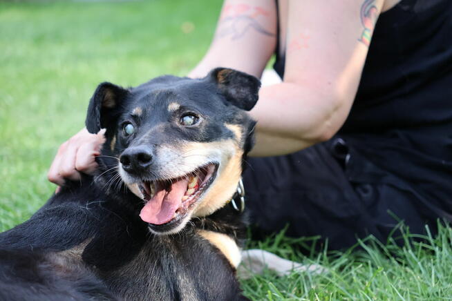 niewidomy Jureczek szuka domku