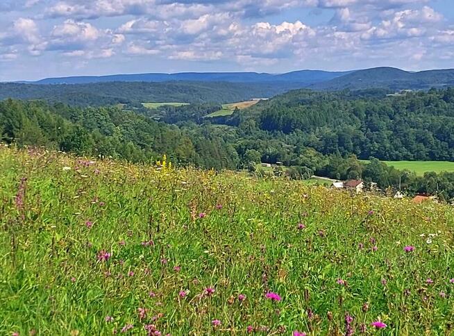 Działka rolno-rekreacyjna 1,59 ha – Nowosiółki, gmina Baligr