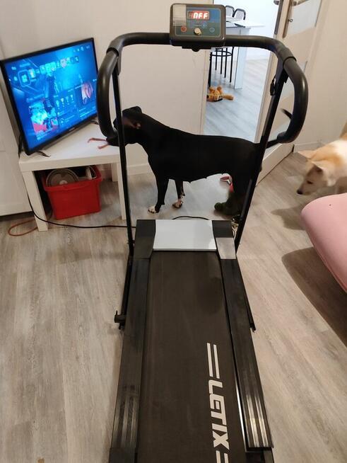 Sprzedam bieżnię elektryczną