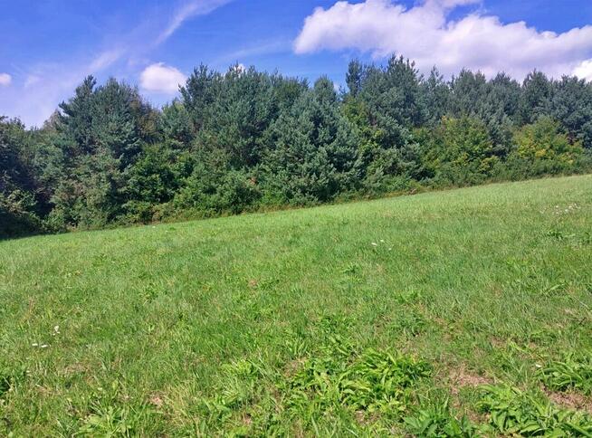 Działka rolno-rekreacyjna 1,59 ha – Nowosiółki, gmina Baligr