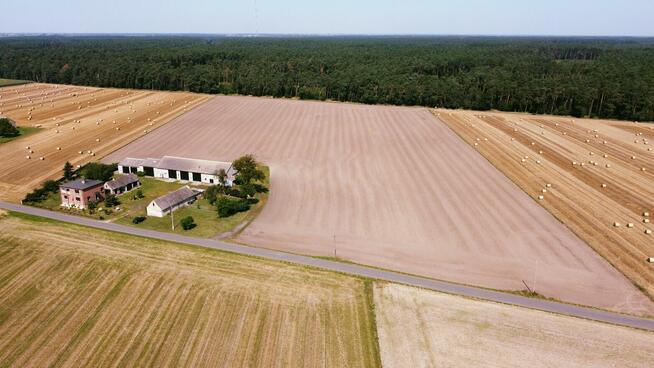 Okolice Ślesina – Dom z zabudowaniami gospodarczymi