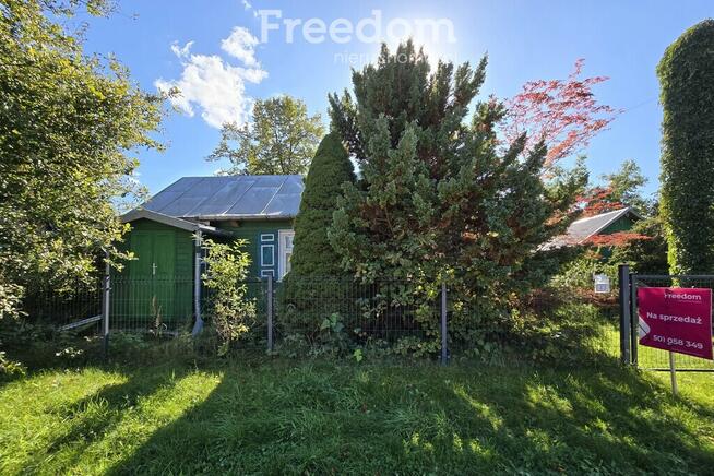 Urokliwe siedlisko nad Bugiem – Derło, gm. Rokitno