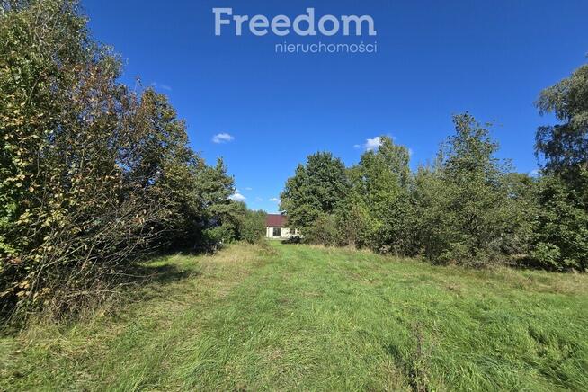 Urokliwe siedlisko nad Bugiem – Derło, gm. Rokitno