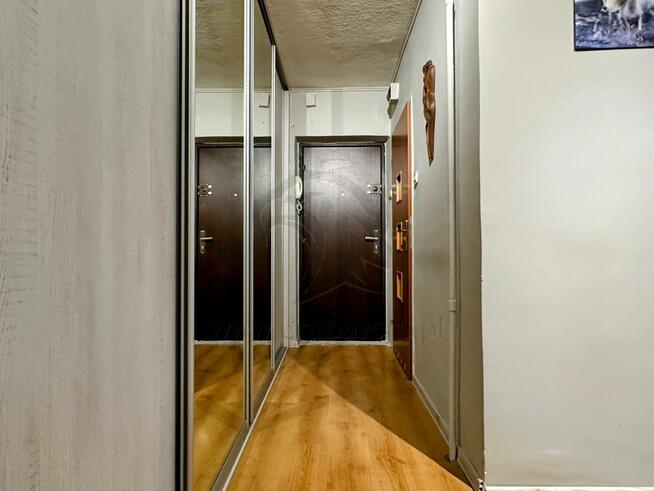 Historia Czerwonej Włóczki