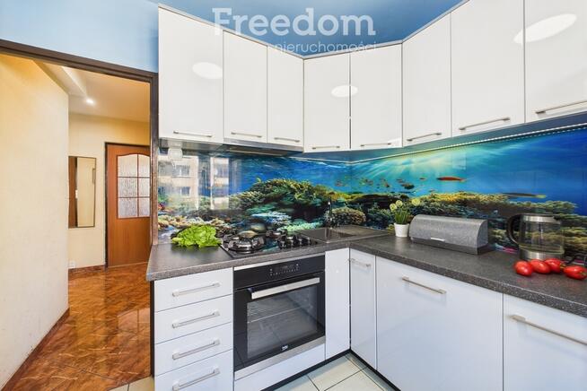 Zapraszam 19 marca na Dzień Otwarty!