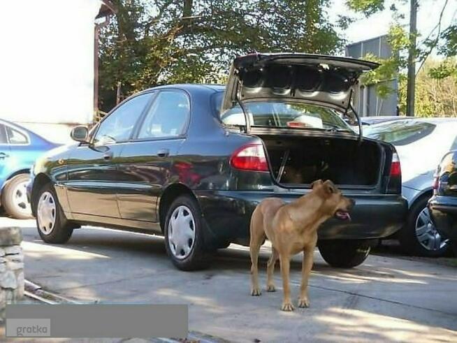Daewoo Lanos BEZWYPADKOWY serwisowany 65tys.kmStan idealny