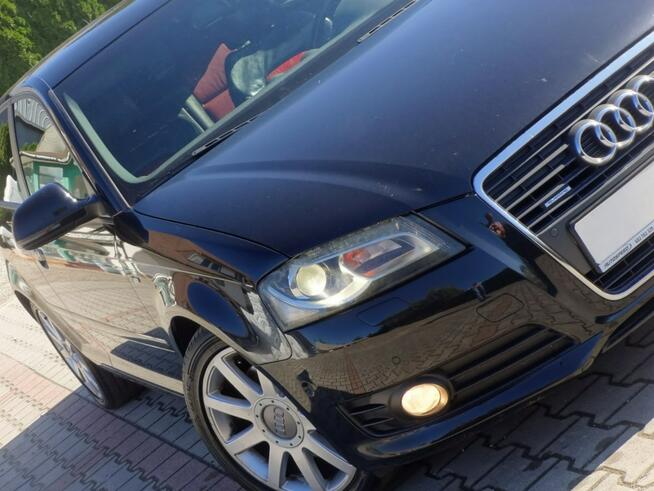 Audi A3 2.0 TDi Lift skóra Quattro 4 x 4
