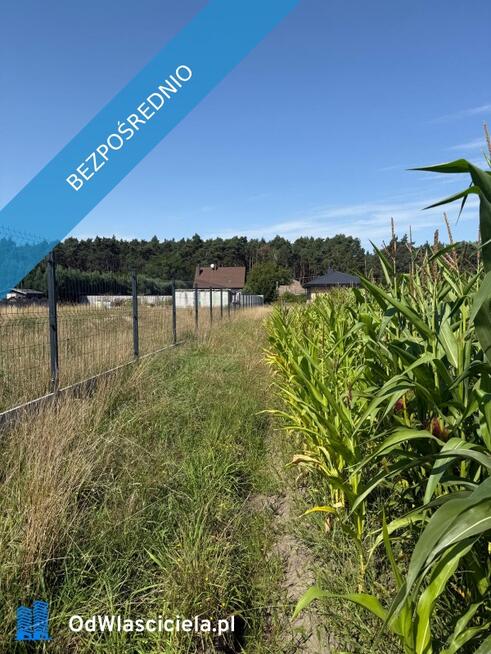 Sulęcinek Kopczynowo ul. Leśna Bez pośrednika. Oszczędzasz 8 100 zł na prowizji pośrednika!