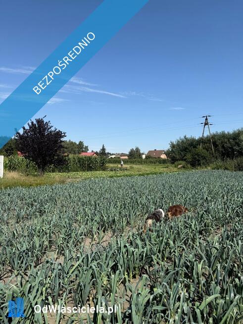 Sulęcinek Kopczynowo ul. Leśna Bez pośrednika. Oszczędzasz 8 100 zł na prowizji pośrednika!