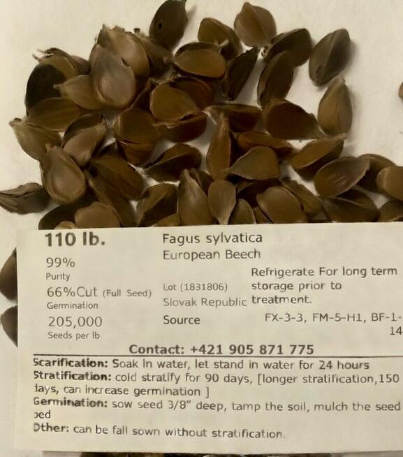 PREMIA NASIONA BUKA - BUK