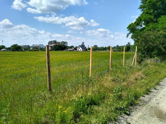 Działka budowlana na sprzedaż pod Chojnowem