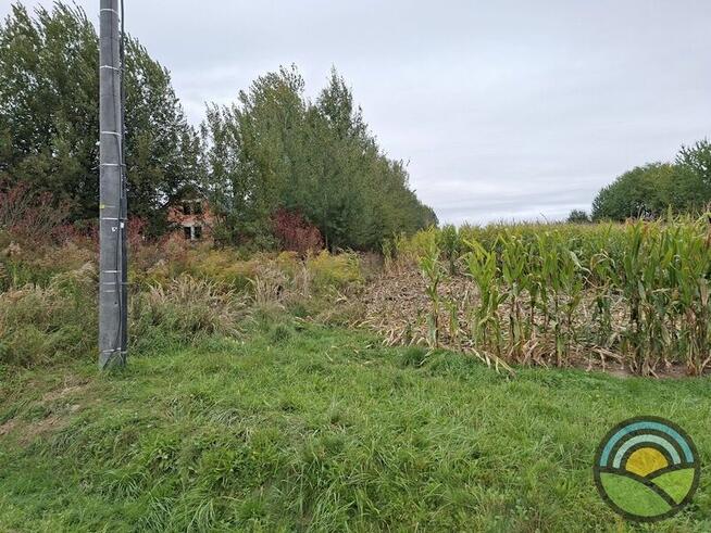 Kobylany gm. Zabierzów - płaska, 35-arowa działka budowlana