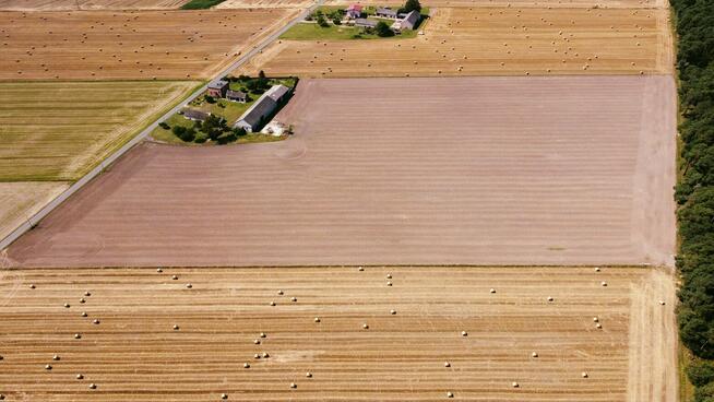Okolice Ślesina – Dom z zabudowaniami gospodarczymi