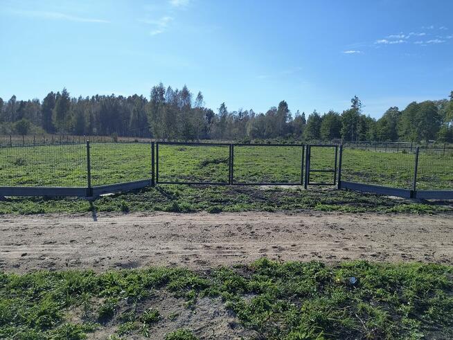 Na sprzedaż 6 dużych działek w Pilchach 150 m od jeziora Roś