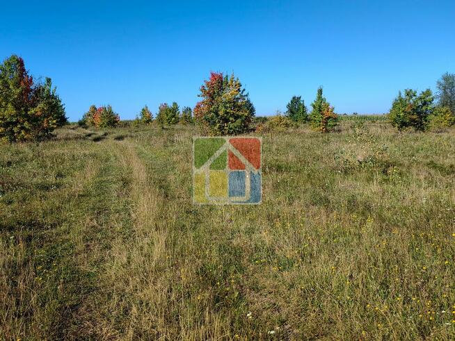 Duża działka w okolicy Szczawina