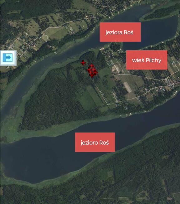 Na sprzedaż 6 dużych działek w Pilchach 150 m od jeziora Roś
