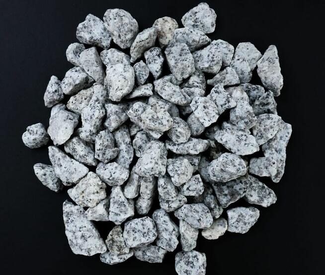 Grys granitowy Dalmatyńczyk otoczak Kora kamienna