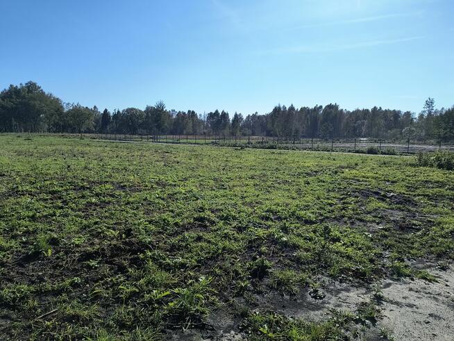 Na sprzedaż 6 dużych działek w Pilchach 150 m od jeziora Roś