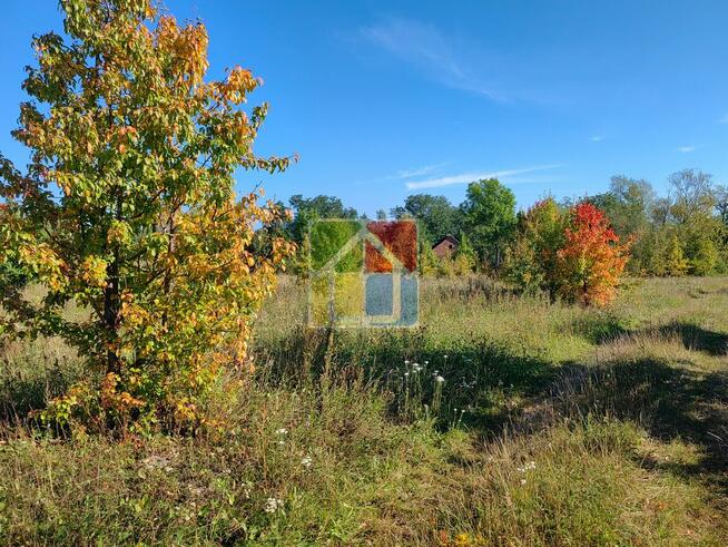 Duża działka w okolicy Szczawina