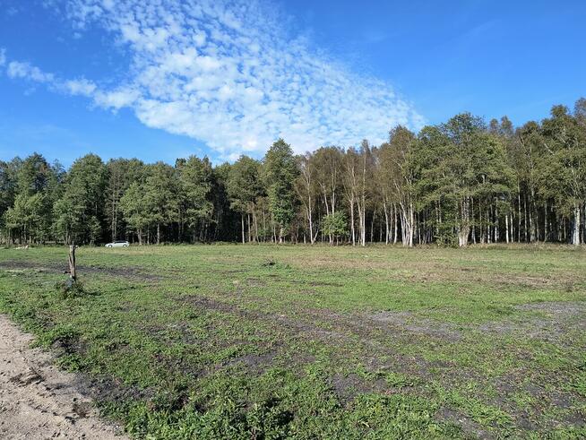 Na sprzedaż 6 dużych działek w Pilchach 150 m od jeziora Roś