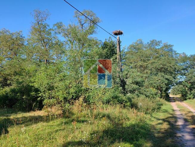 Duża działka w okolicy Szczawina