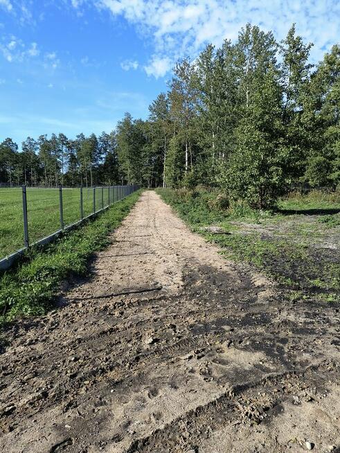 Na sprzedaż 6 dużych działek w Pilchach 150 m od jeziora Roś