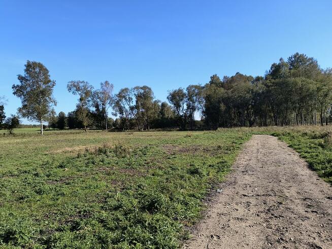 Na sprzedaż 6 dużych działek w Pilchach 150 m od jeziora Roś