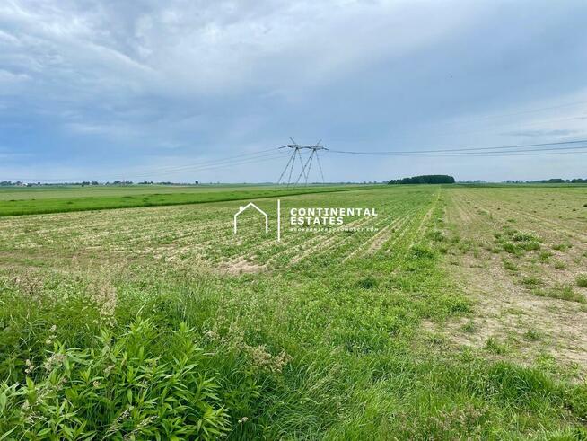 Działk inwestycyjne | Smardzów, gm Oleśnica | MPZP