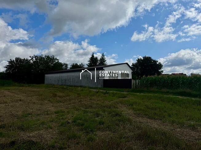 Solidna Hala Magazynowo - Produkcyjna