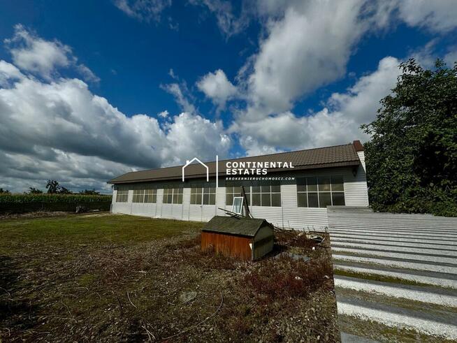 Solidna Hala Magazynowo - Produkcyjna