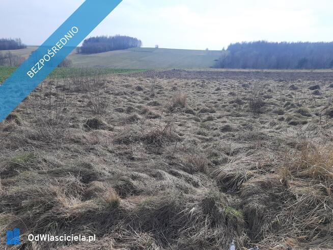 SPRZEDAM DZIAŁKĘ ROLNO-BUDOWLANĄ