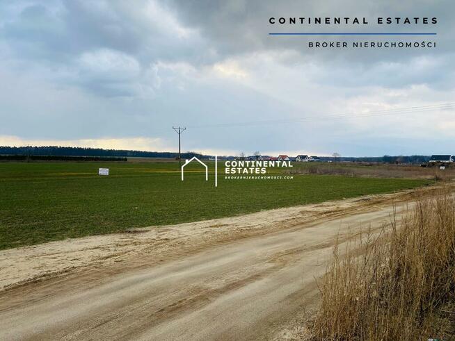 Działki budowlane w Nieciszowie - lokalizacja!