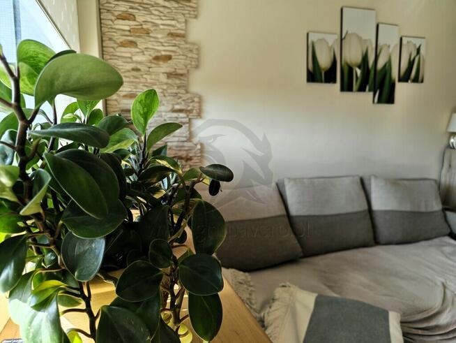 Lubisz chaos ? no to nie to!