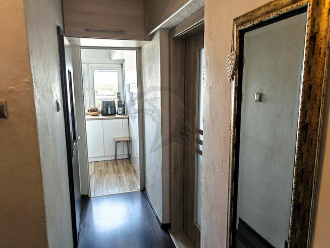 Lubisz chaos ? no to nie to!