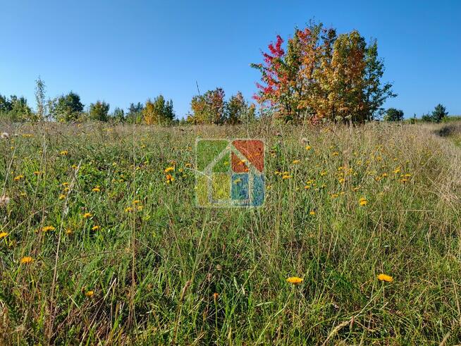 Duża działka w okolicy Szczawina