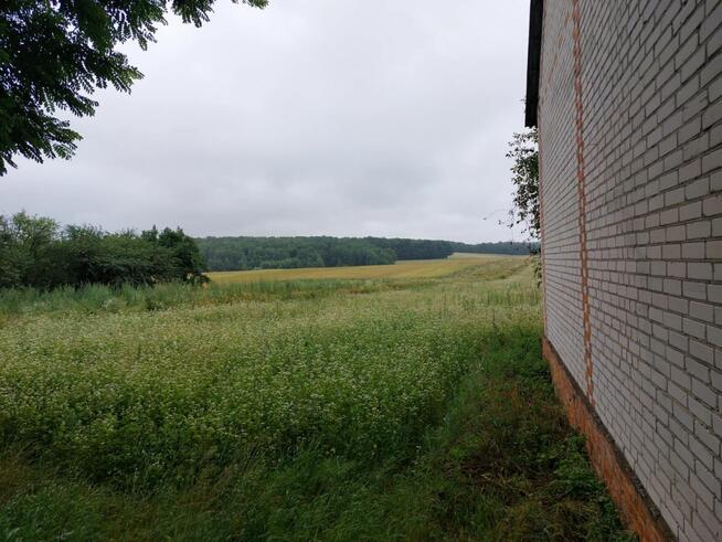 Urocza posiadłość w Ganach – dom, budynki gospodarcze 51 ar