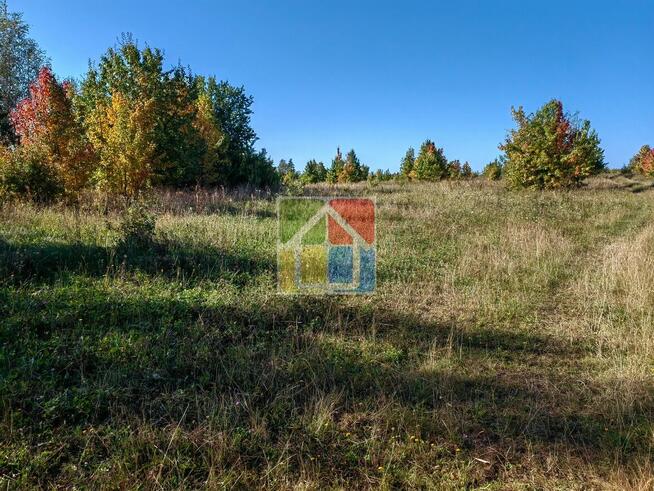Duża działka w okolicy Szczawina